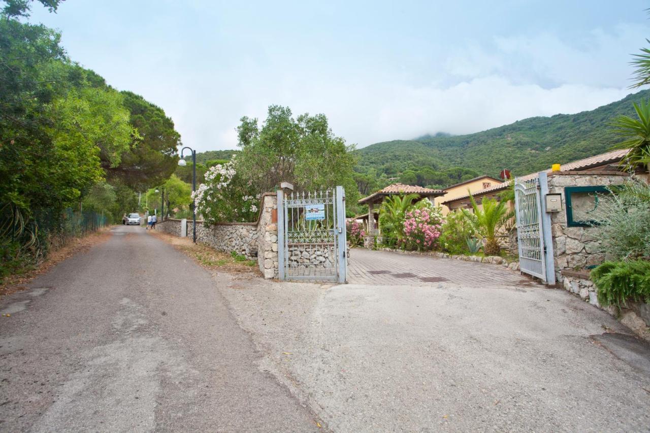 Apartment Nisportino *