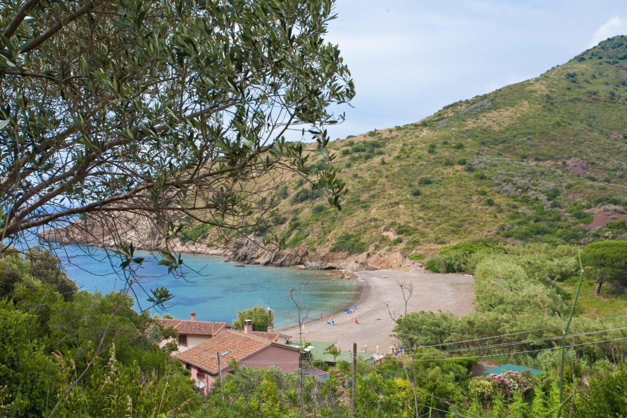 Nisportino