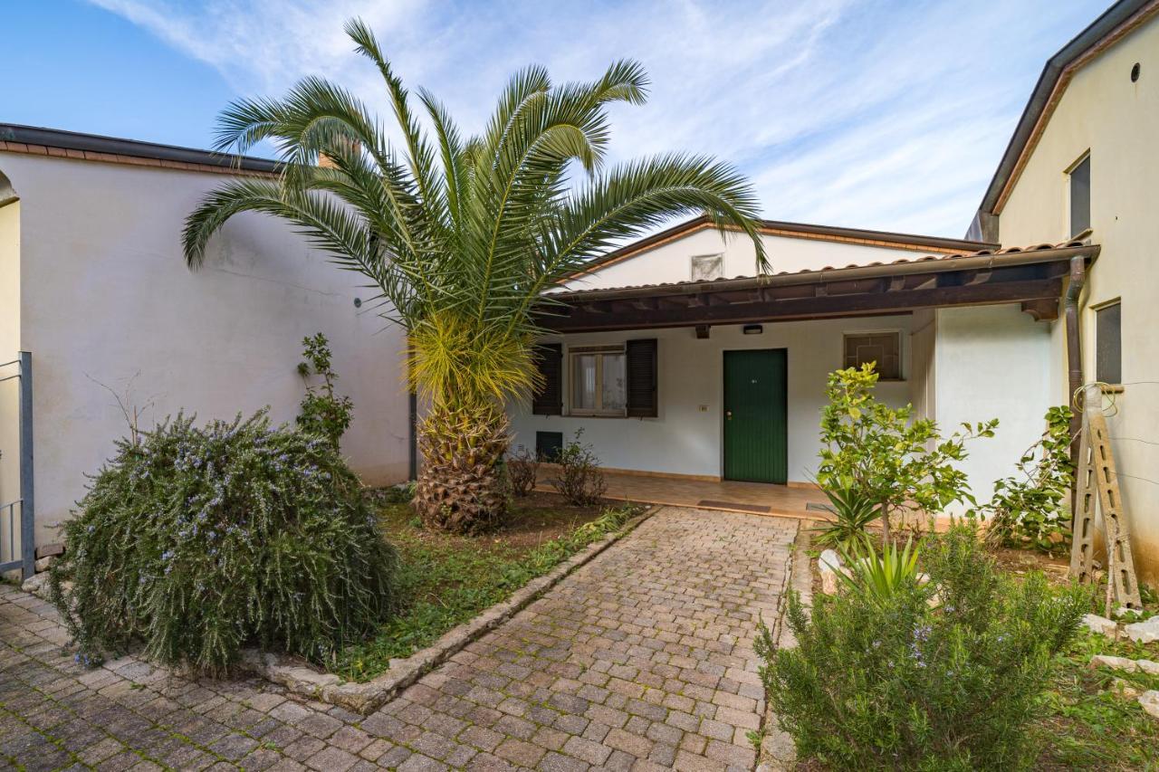 Apartment Nisportino Nisporto